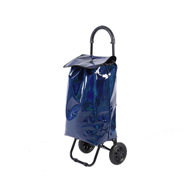 Half-round PP Plastic Handle Single Wheel Shopping Trolley Bag